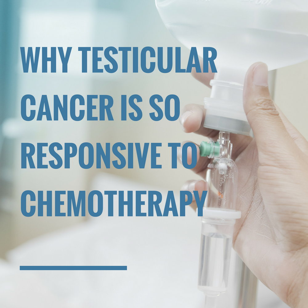 Why Testicular Cancer Is So Responsive To Chemotherapy 27864 Hot Sex