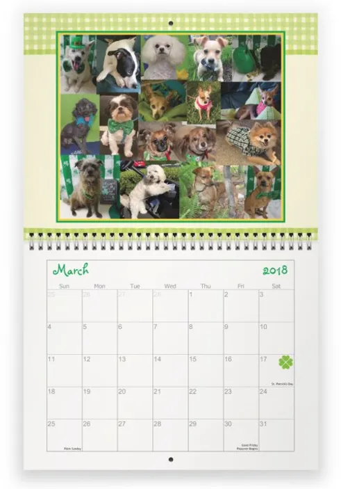 annual calendars