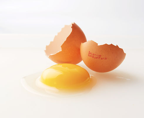 egg 2 5688 edited.jpg