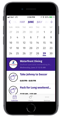 PlumTree_v2_Inapp_calendar2_med.png