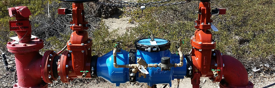 Backflow Test