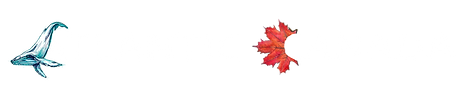 Schrift-Titel-eng-weiss.png
