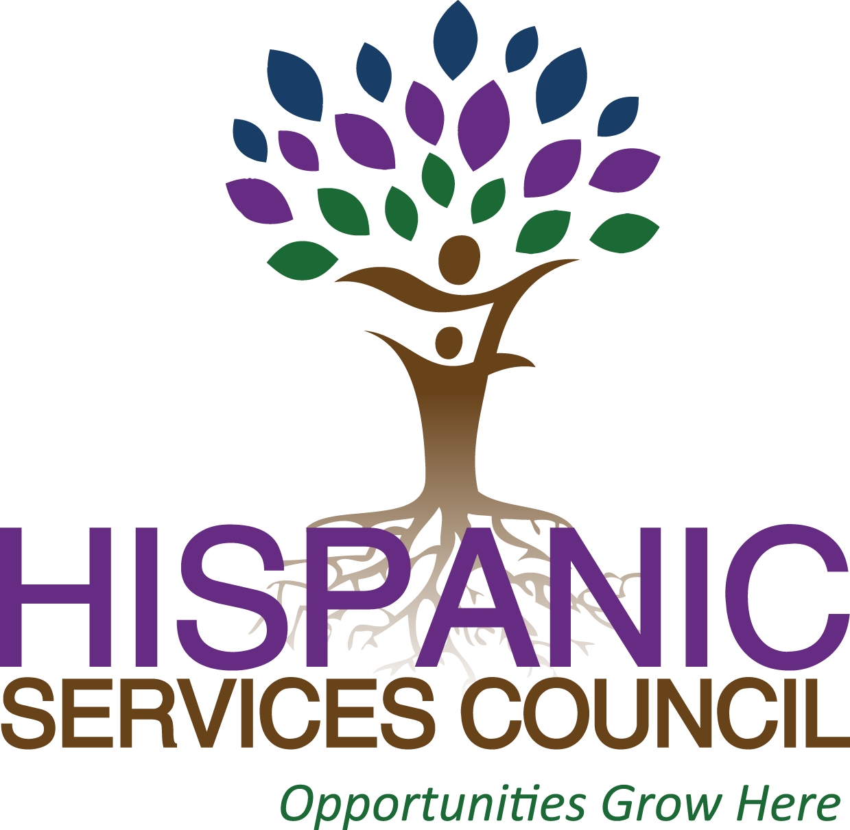 Hispanic Services Council