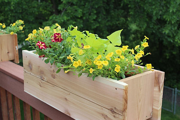 DIY Shoe Rack - 7 New Ideas - Bob Vila