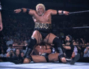 Rikishi, Jim The Anvil Neidhart, Canadian Bulldog, Canadian Bulldog's World. Letters From A Nut, WWE, WWF, WCW, ECW