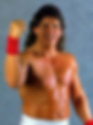 Tito Santana, WWE, WWF, WrestleMania, Canadian Bulldog, Canadian Bulldog's World