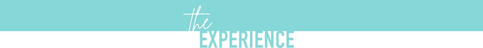 expeience.png
