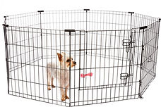 playpen.jpg