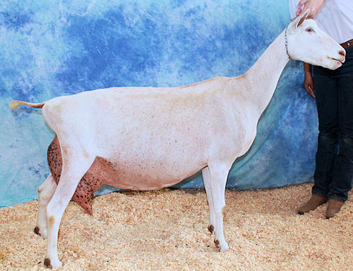 hedda_3yr_SDFr_19.jpg