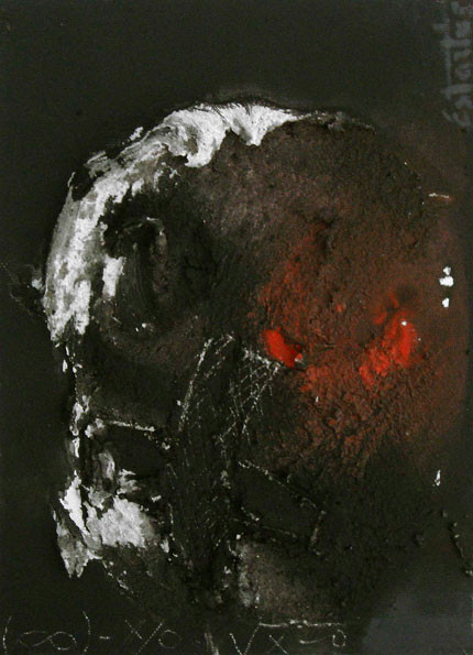 Pájaro_22x16