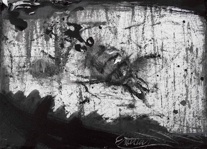 Insecto 19x27