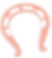 RPI_Site_Graphics_Horseshoe_edited.png