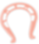 RPI_Site_Graphics_Horseshoe_edited.png
