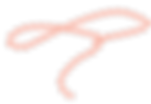RPI_Site_Graphics_rope_Laso_edited.png