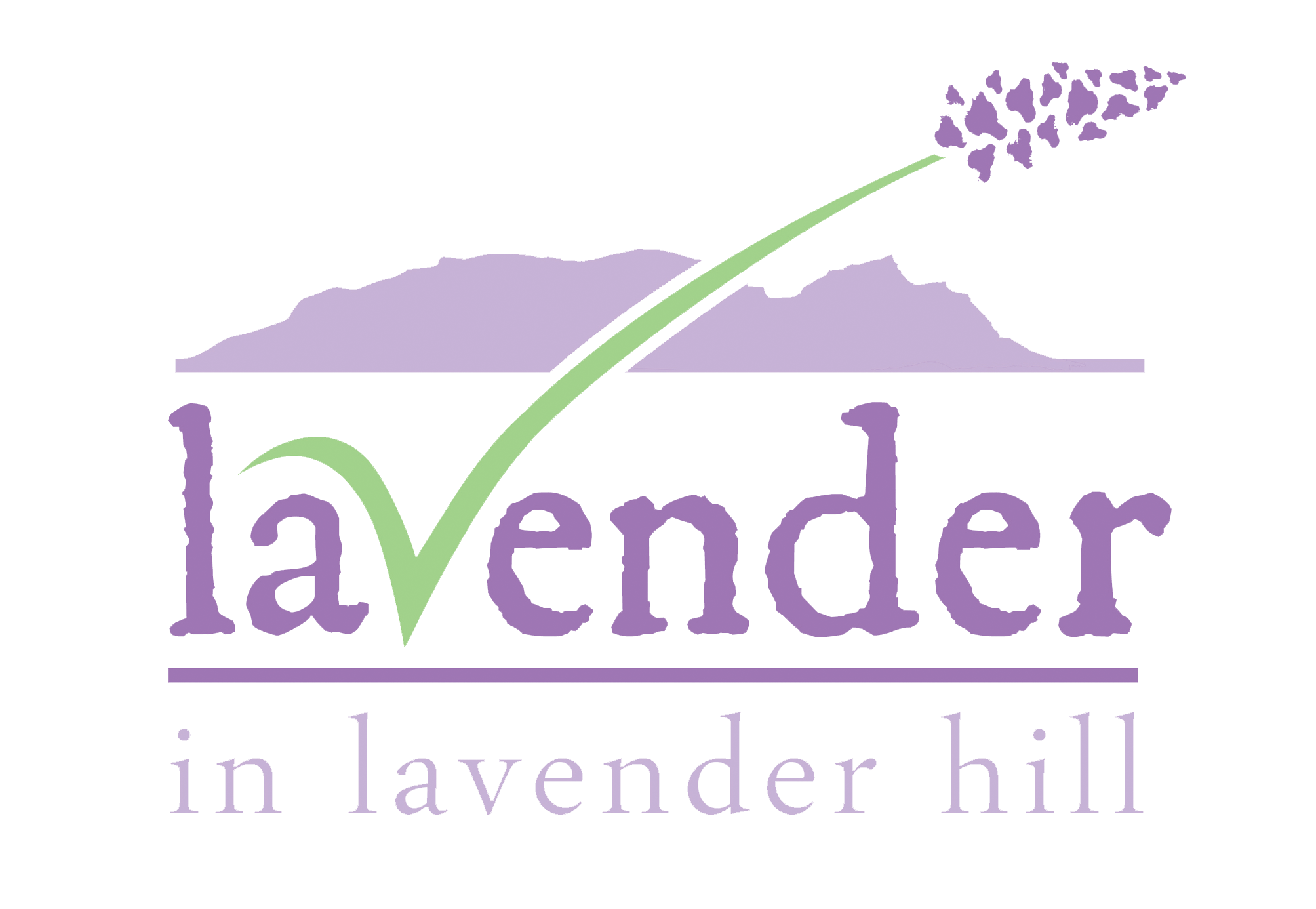 Lavender in Lavender Hill Products