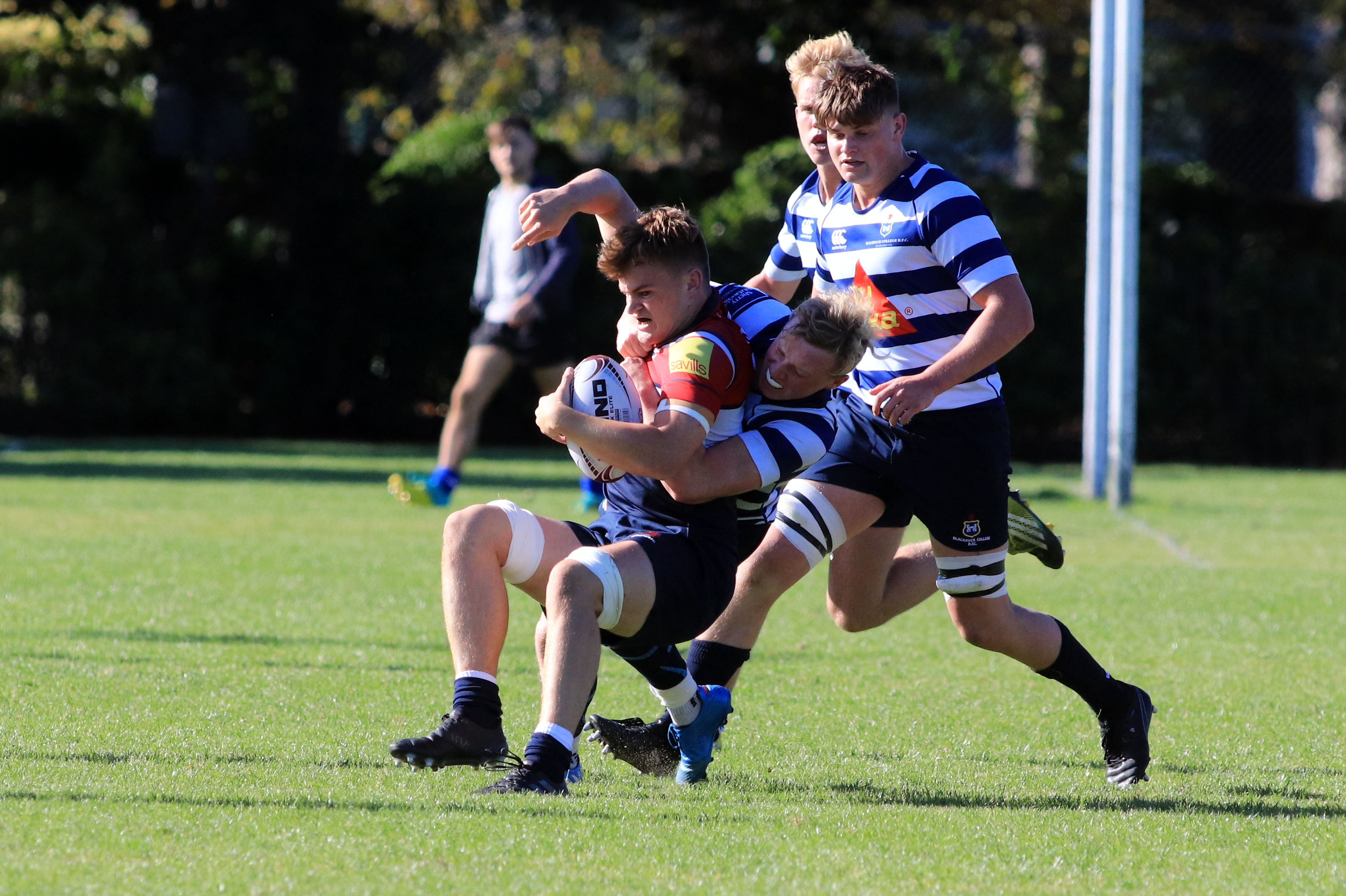 Blackrock College RFC U20