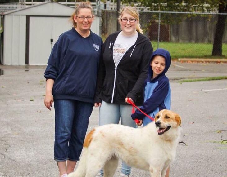 Adopt Anderson, IN The Animal Protection League