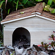 Greenkey Garden and Home