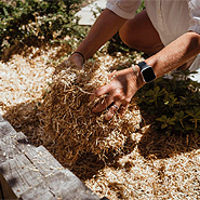 Marvellous Mulch