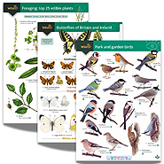 Field Studies Council