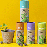 Seedball