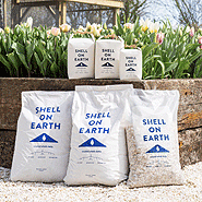 Shell on Earth
