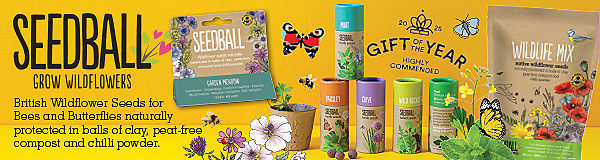 Seedball