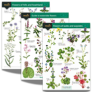 Field Studies Council