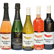 Blackdown Ridge