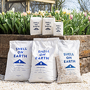 Shell on Earth