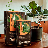 Durstons