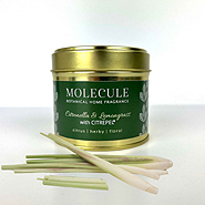 Molecule Home Fragrance