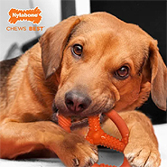 Rosewood Pet Products