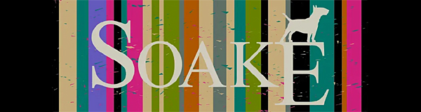 Soake