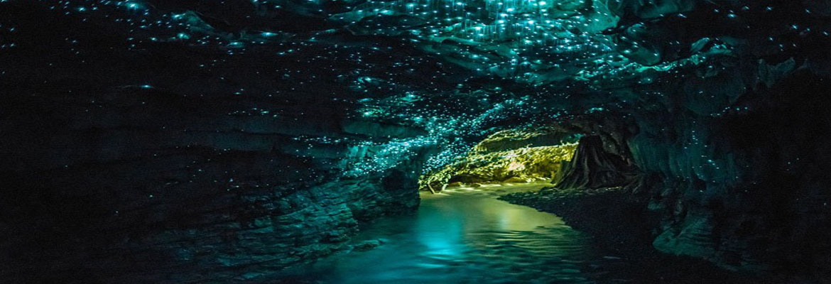 Image result for waitomo caves