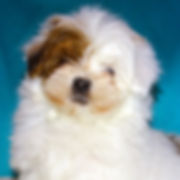 DSC05499.JPG
