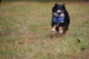 DSC_0085.JPG