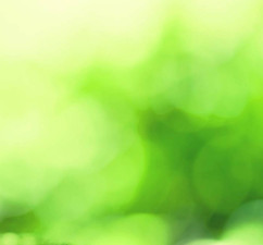 3D-green-world-image_edited.jpg