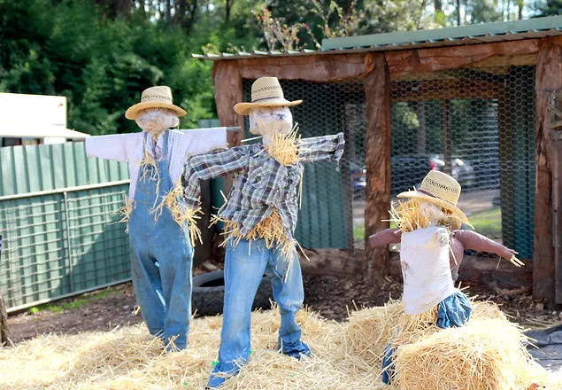 golden ridge farm be a farmer event