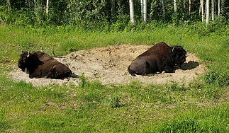 20190629_171350_edited.jpg