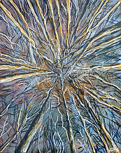 Looking up through the twigs of a tree to the sky