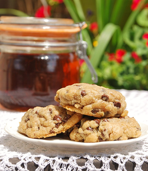 Allergen Free Chocolate Chip Cookie