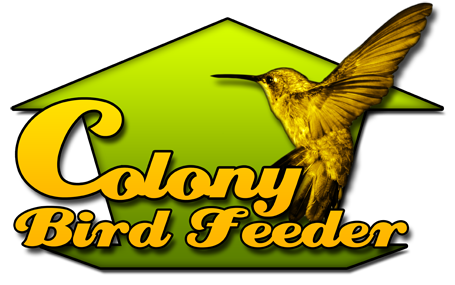 Colony Bird Feeder Wix Com