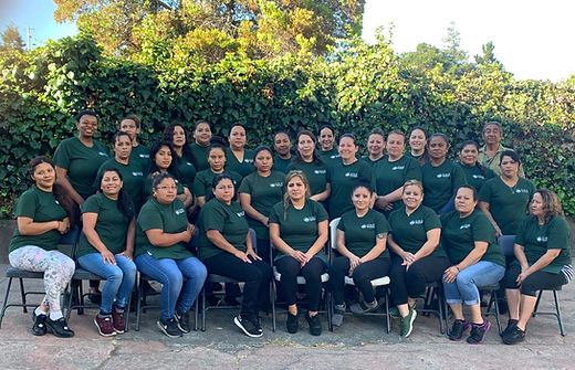 Lotus Cleaning Service - Staff Team
