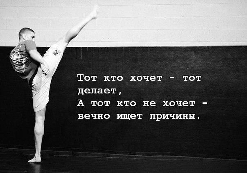 Кто Щадит Виновного Наказывает Невиновного Эссе