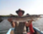 attaque de barracuda Sénégal