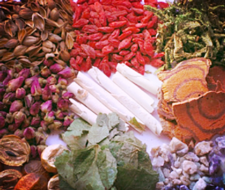 Acupuncture Arcata Herbal Medicine Alyssa Melody