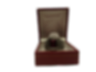 ring22_clipped_rev_1 (1).png