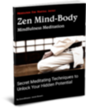 thinpaperback_795x1003.png