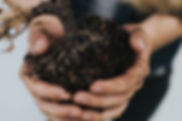 Christie Sears Thompson | Child, Couples, and Family Therapy | Golden | Nature Therapy